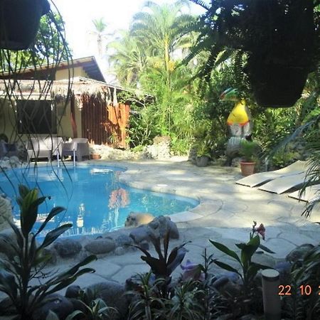Hotel Caribbean Coconut Cahuita Exteriér fotografie