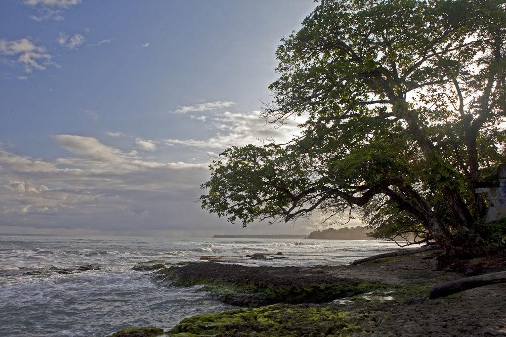 Hotel Caribbean Coconut Cahuita Exteriér fotografie