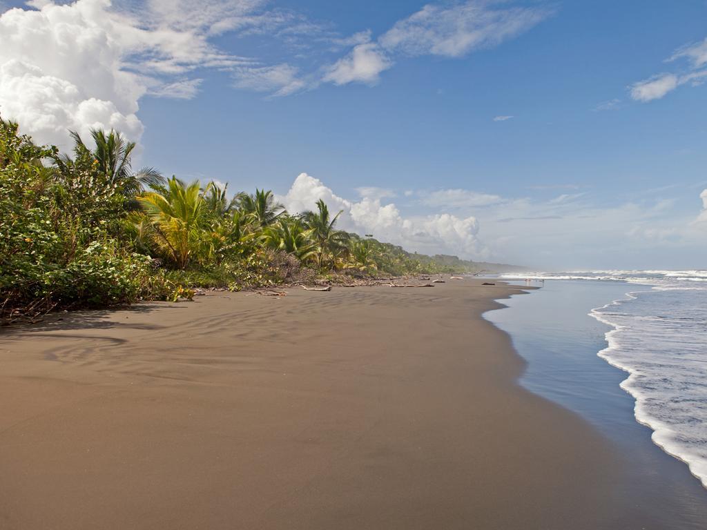 Hotel Caribbean Coconut Cahuita Exteriér fotografie