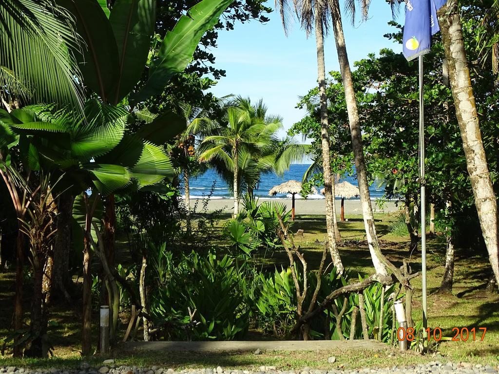 Hotel Caribbean Coconut Cahuita Exteriér fotografie