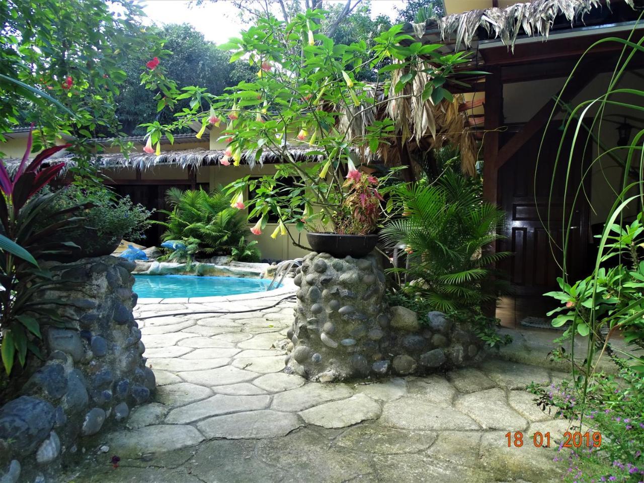 Hotel Caribbean Coconut Cahuita Exteriér fotografie
