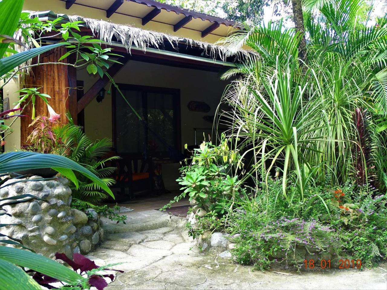 Hotel Caribbean Coconut Cahuita Exteriér fotografie