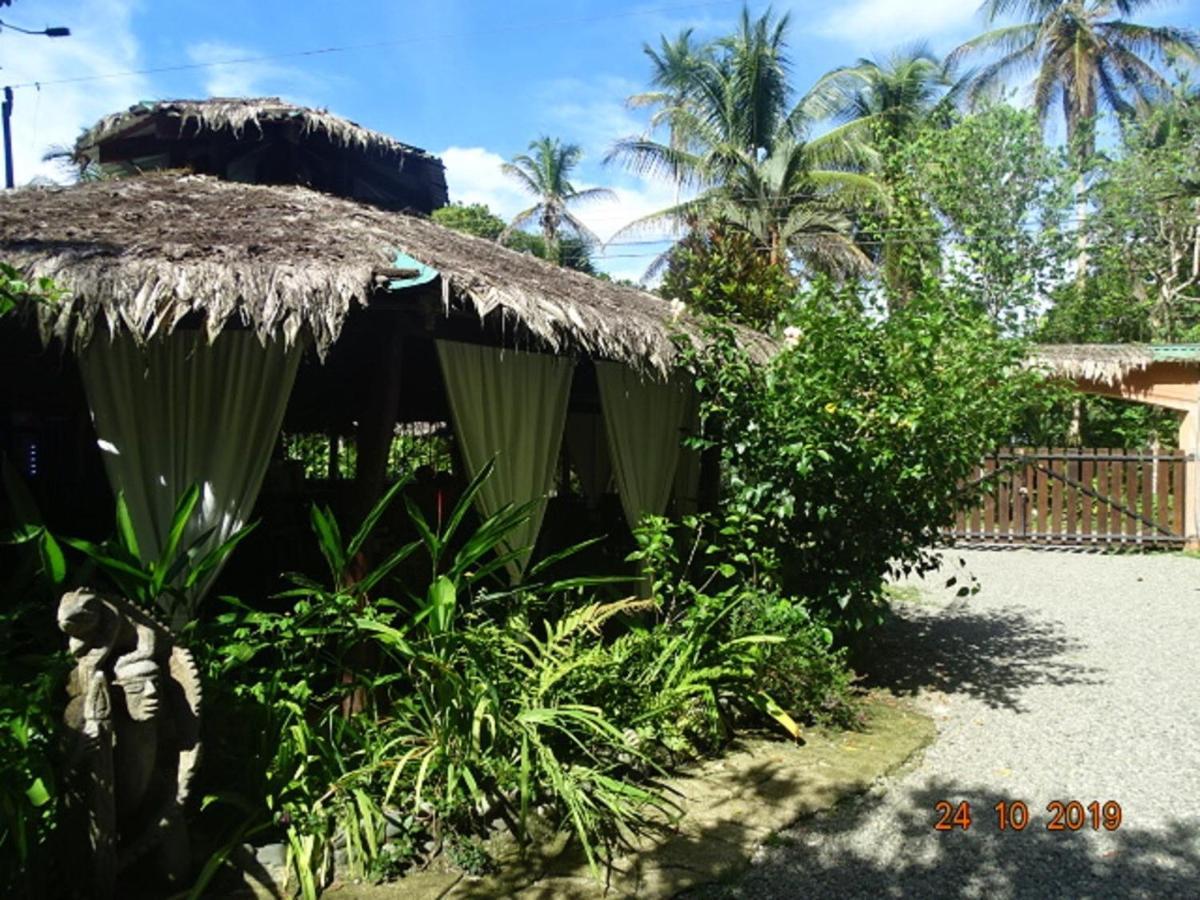 Hotel Caribbean Coconut Cahuita Exteriér fotografie